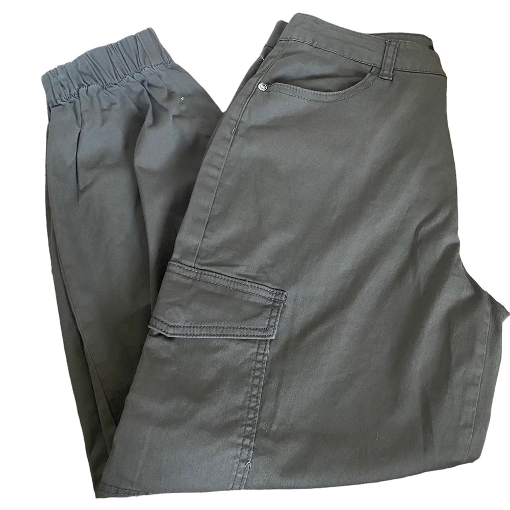 Sanctuary cargo pants